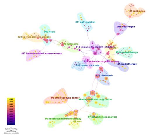 文献共被引分析图C